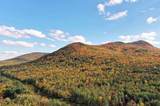 Lot 9 South Applesauce Hill - Photo 9