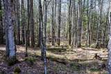 1799 Coppermine Road - Photo 41
