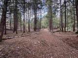 3039 Us Route 3 - Photo 14