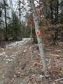 165 Allens Mill Road - Photo 7