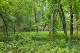 00000 Severance Road - Photo 15