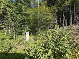 90 Old Swanzey Road - Photo 5