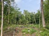Lot 5 Fern Lake Road - Photo 9