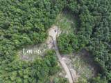 Lot 6 Fern Lake Road - Photo 2