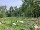 Lot 6 Fern Lake Road - Photo 8