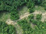 Lot 7 Fern Lake Road - Photo 10