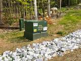 Lot 7 Fern Lake Road - Photo 4
