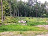 Lot 7 Fern Lake Road - Photo 7