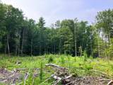Lot 8 Fern Lake Road - Photo 1