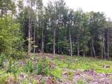Lot 8 Fern Lake Road - Photo 12