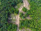 Lot 8 Fern Lake Road - Photo 2