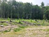 Lot 8 Fern Lake Road - Photo 8