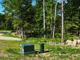 Lot 8 Fern Lake Road - Photo 9