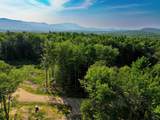Lot 9 Fern Lake Road - Photo 1