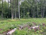 Lot 9 Fern Lake Road - Photo 10