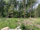Lot 9 Fern Lake Road - Photo 5