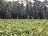 Lot 9 Fern Lake Road - Photo 9