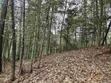 Lot 265 King Drive - Photo 14