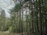 Lot 265 King Drive - Photo 15