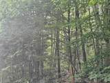 Lot 265 King Drive - Photo 3