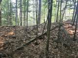 Lot 265 King Drive - Photo 8