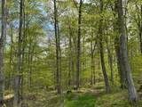 389 Young Road - Photo 10
