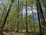 389 Young Road - Photo 21