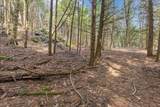 Lots 2 & 3 Hemlock Ridge - Photo 10