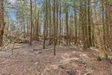 Lots 2 & 3 Hemlock Ridge - Photo 11