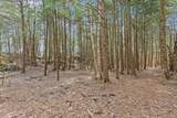 Lots 2 & 3 Hemlock Ridge - Photo 12