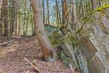 Lots 2 & 3 Hemlock Ridge - Photo 15