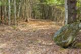 Lots 2 & 3 Hemlock Ridge - Photo 16