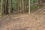 Lots 2 & 3 Hemlock Ridge - Photo 19
