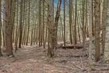 Lots 2 & 3 Hemlock Ridge - Photo 20