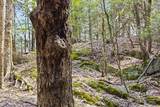 Lots 2 & 3 Hemlock Ridge - Photo 22