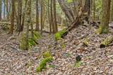 Lots 2 & 3 Hemlock Ridge - Photo 24