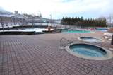 761 Stratton Mountain Access Road - Photo 16