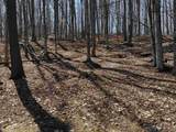 0 Oak Ridge Way - Photo 11