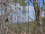 00 Haley Town Road - Photo 4