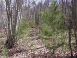  Swiftwater Circle - Photo 4