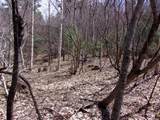  Swiftwater Circle - Photo 6