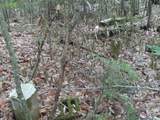 Lots 134-135 Wendy Drive - Photo 16