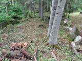 1715 New Hampshire Route 118 - Photo 11