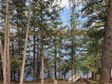 409 Wilson Road - Photo 5
