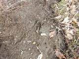 00 Burton Hill Road - Photo 6