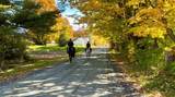 325 Cemetery Road - Photo 15
