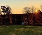 325 Cemetery Road - Photo 43