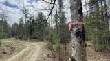 227 Dukes Road - Photo 41