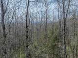 Lot 2 Mountain Road - Photo 11