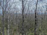 Lot 2 Mountain Road - Photo 12